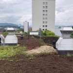 Lehenmattstrasse 216