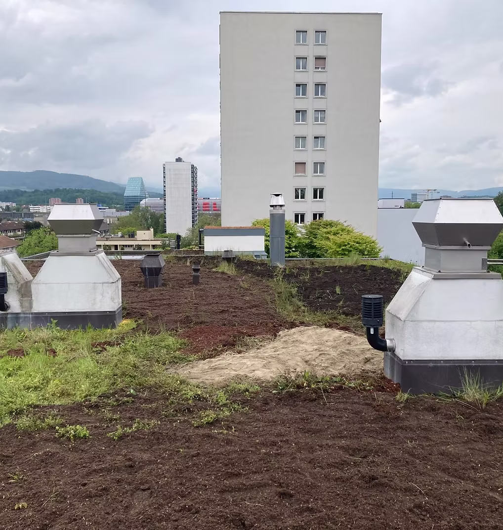 Lehenmattstrasse 216